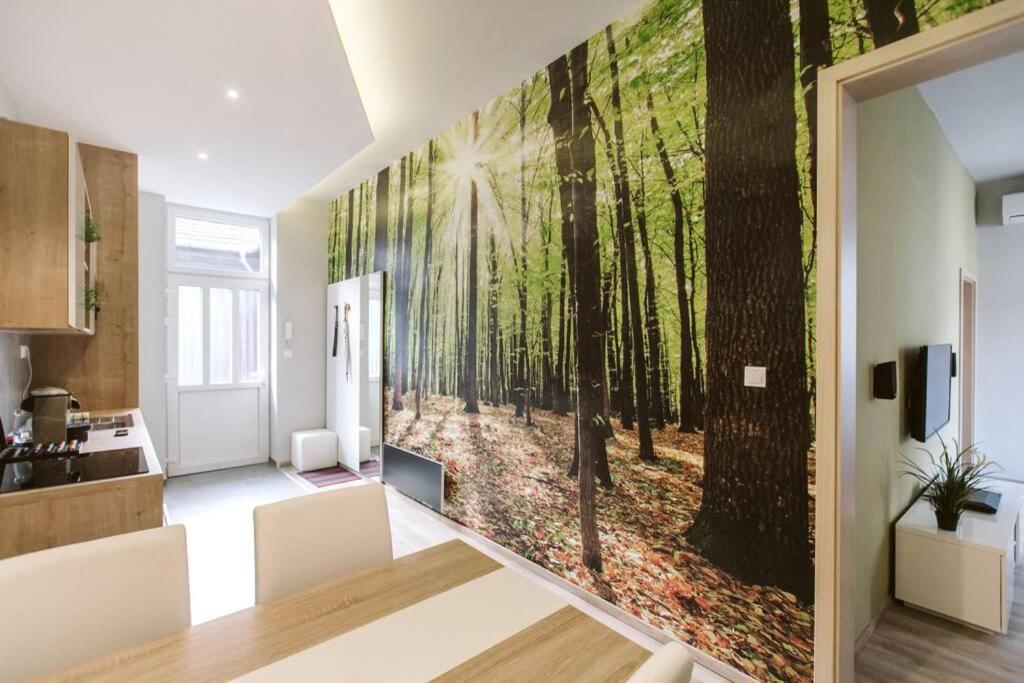 Apartamento Dream Forest *